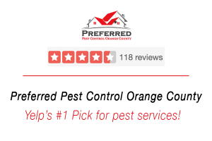 preferred pest review