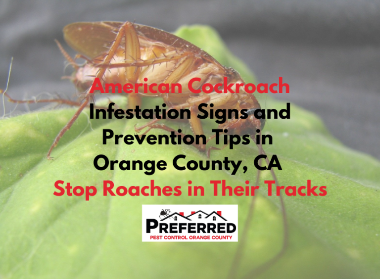 Orange County Pest Control