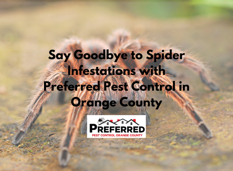 Orange County Pest Control