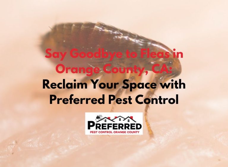 Orange County Pest Control