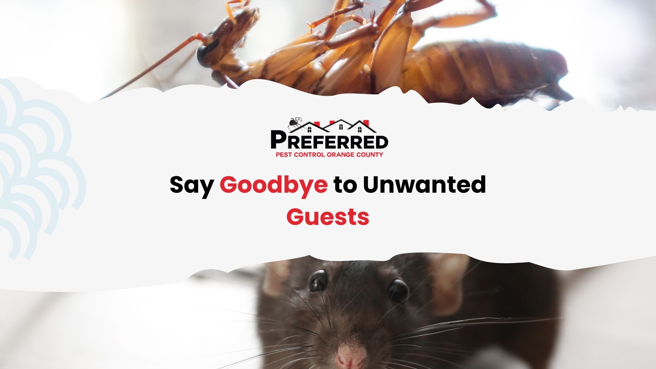 orange county pest control(1)