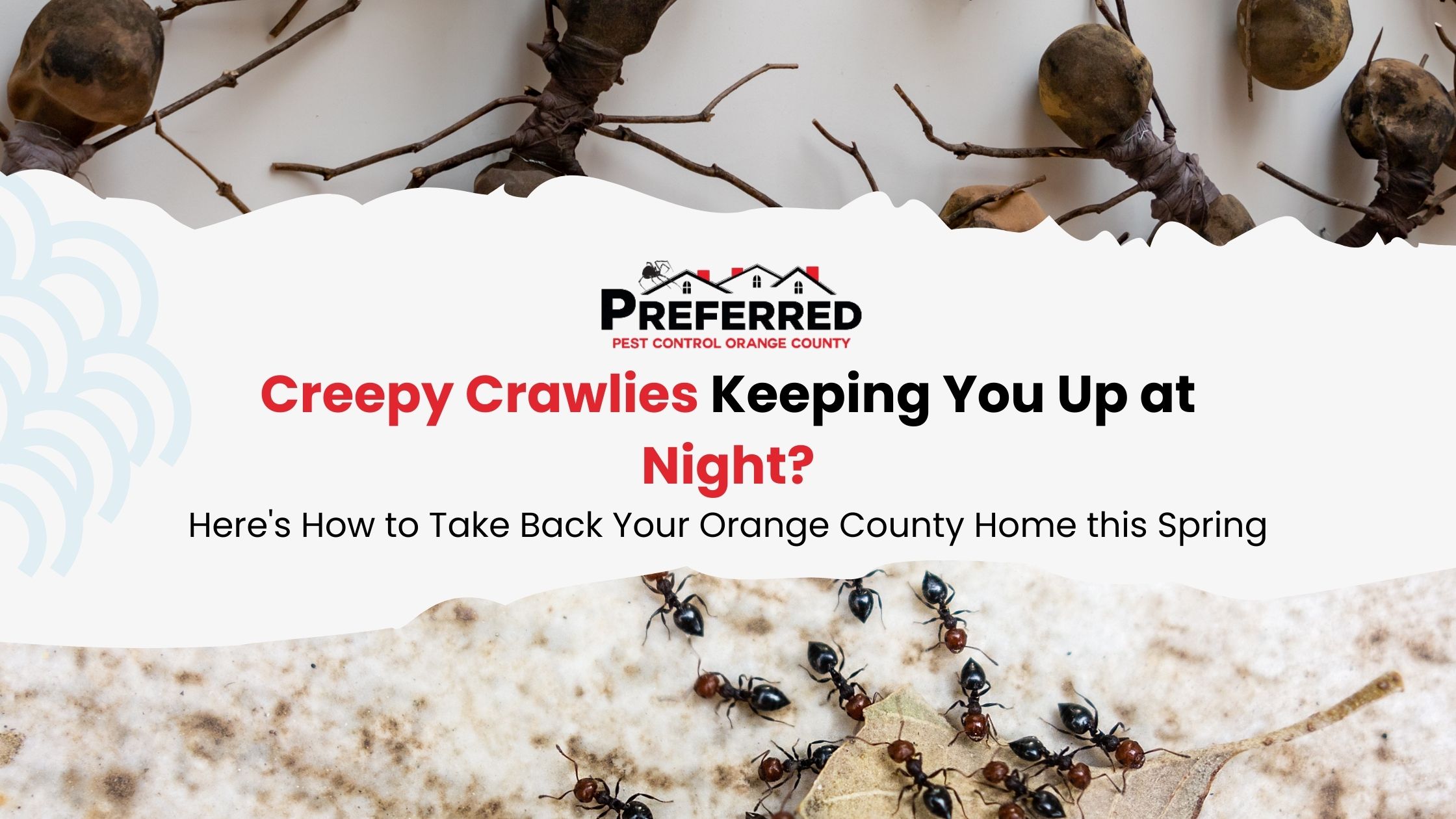 orange county pest control
