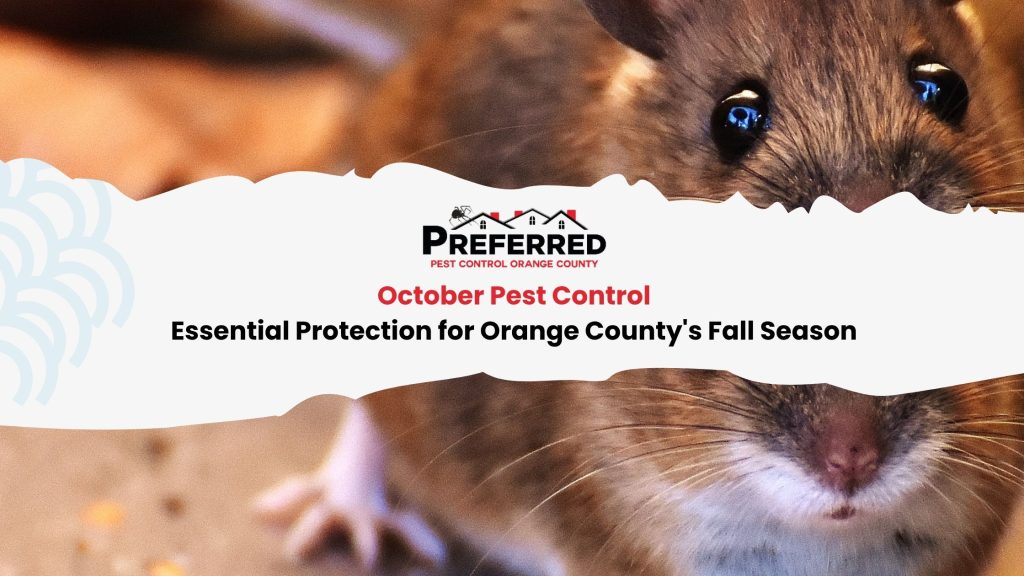 Rodent Control Orange County