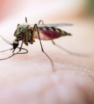 HOW TO KEEP MOSQUITOES FROM BITING