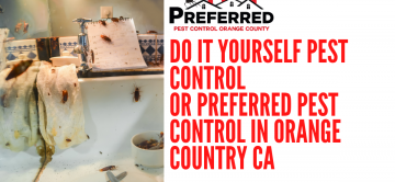 Do It Yourself Pest Control or Preferred Pest Control in Orange Country CA