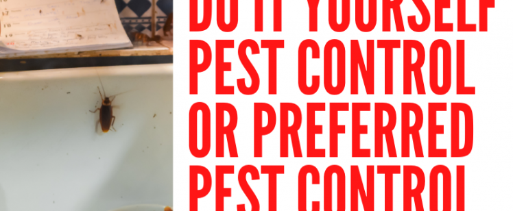 Do It Yourself Pest Control or Preferred Pest Control in Orange Country CA