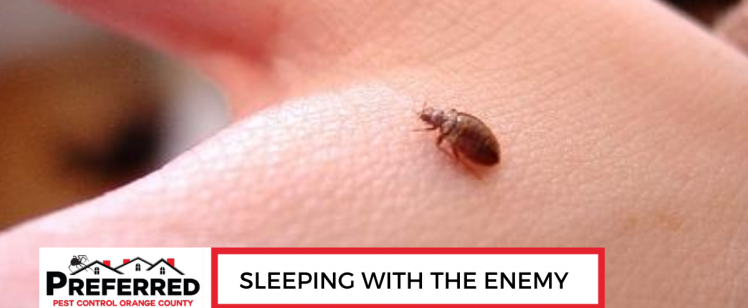 BED BUG MANAGEMENT SLEEPING WITH THE ENEMY
