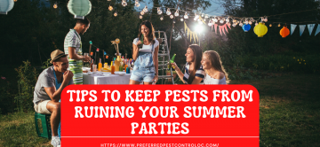 Tips To Keep Pests From Ruining Your Summer Parties