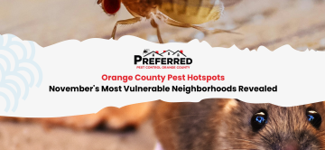 Orange County Pest Hotspots: November's Most Vulnerable Neighborhoods Revealed