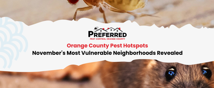 Orange County Pest Hotspots: November’s Most Vulnerable Neighborhoods Revealed