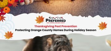 Thanksgiving Pest Prevention: Protecting Orange County Homes During Holiday Season