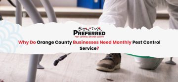 Why Do Orange County Businesses Need Monthly Pest Control Service?