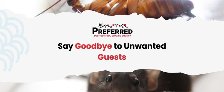 Say Goodbye to Unwanted Guests with Preferred Pest Control