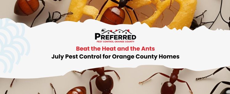 Beat the Heat and the Ants: July Pest Control for Orange County Homes