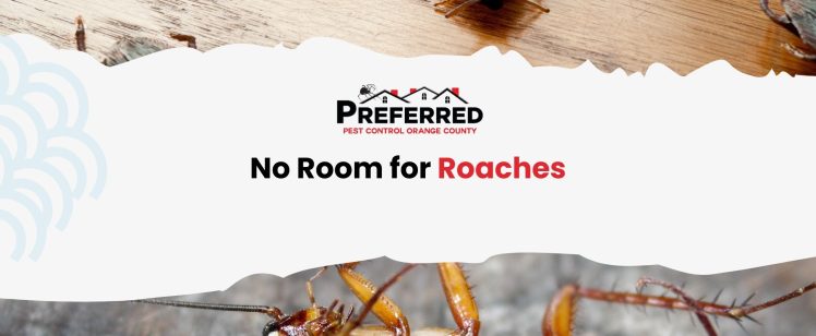 No Room for Roaches: Embrace March in Orange County with Preferred Pest Control’s Expert Solutions