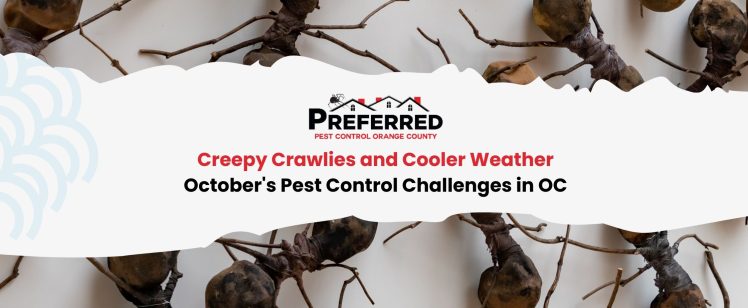 Creepy Crawlies and Cooler Weather: October’s Pest Control Challenges in OC