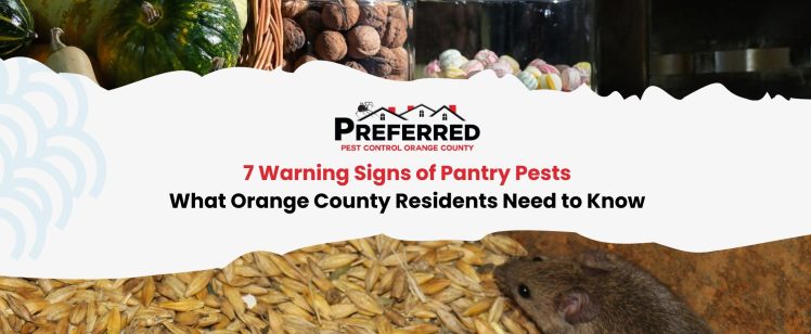 7 Warning Signs of Pantry Pests: What Orange County Residents Need to Know