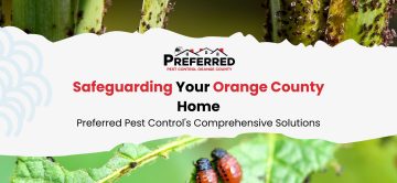 Safeguarding Your Orange County Home: Preferred Pest Control's Comprehensive Solutions