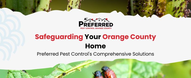 Safeguarding Your Orange County Home: Preferred Pest Control’s Comprehensive Solutions
