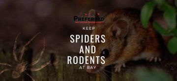 Start Your Year Right: Keep Spiders and Rodents at Bay with Preferred Pest Control