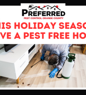 This Holiday Season Have a Pest FREE Home with Preferred Pest Control