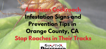 American Cockroach Infestation Signs and Prevention Tips in Orange County, CA – Stop Roaches in Their Tracks
