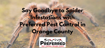 Say Goodbye to Spider Infestations with Preferred Pest Control in Orange County