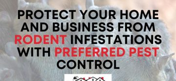 Protect Your Home and Business from Rodent Infestations with Preferred Pest Control