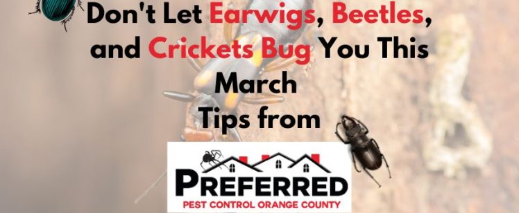 Don’t Let Earwigs, Beetles, and Crickets Bug You This March: Tips from Preferred Pest Control in Orange County