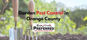 Garden Pest Control in Orange County: Tackling March's Most Common Pests with Preferred Pest Control