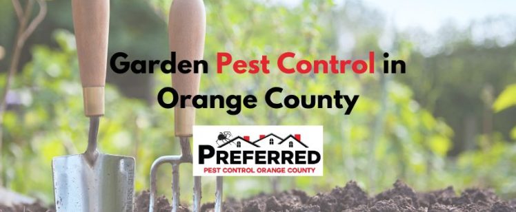 Garden Pest Control in Orange County: Tackling March’s Most Common Pests with Preferred Pest Control