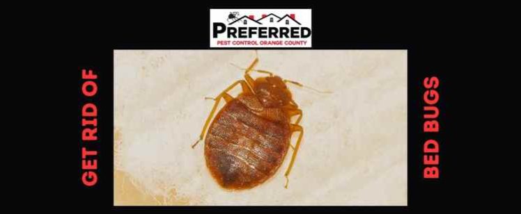 preferred pest control press release(2)