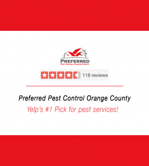 Why Clients Rave About Preferred Pest Control OC