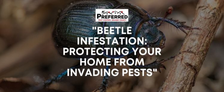 preferred pests blog photo(1)